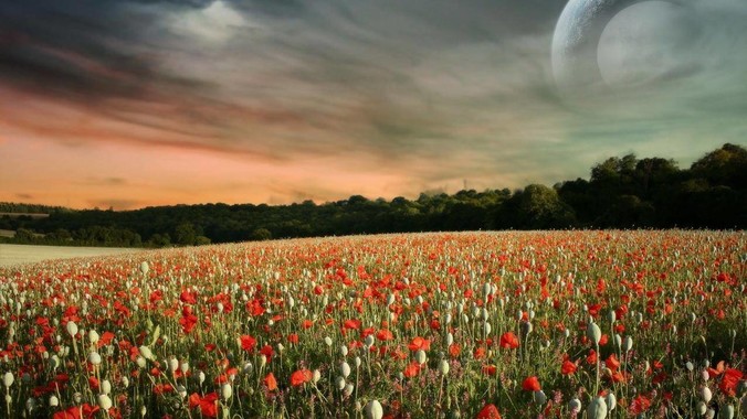 豆包推出 AI 编程，在「编辑模式」下可以直接前端改图和文字，体验如何？对行业会带来怎样的影响？